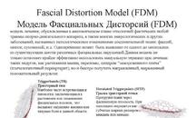1 модуль семинара по ФДМ-терапии (FDM)
